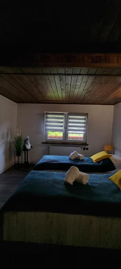 Apartament Elbrus Czyrna Szczyrk Wypozyczalnia Rowerow E-Bike Czyrna Szkola Narciarska & Wypozyczalnia Ski Serwis Extérieur photo