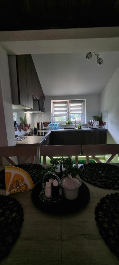 Apartament Elbrus Czyrna Szczyrk Wypozyczalnia Rowerow E-Bike Czyrna Szkola Narciarska & Wypozyczalnia Ski Serwis Extérieur photo